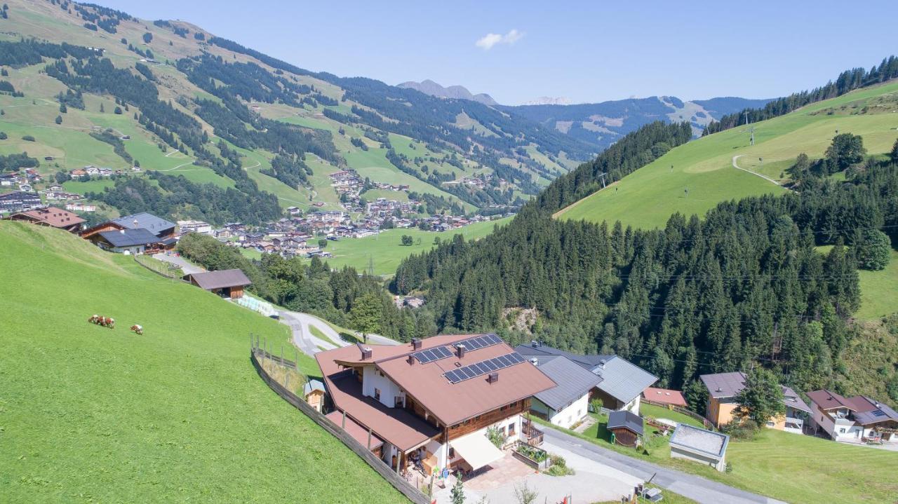 ザールバッハ・ヒンターグレムLandhaus Hinterglemmアパートメント エクステリア 写真
